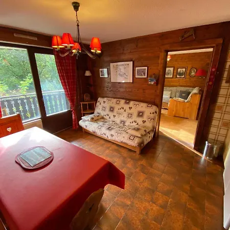 Familial Au Pied Des Pistes Avec Balcon, Parking Et Acceptant Les Animaux - Fr-1-692-58 Apartment